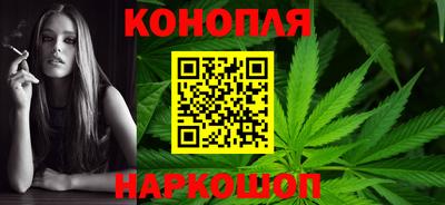 крисы Новозыбков