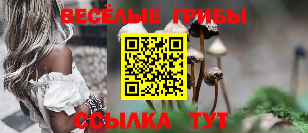 Галлюциногенные грибы Magic Shrooms  Вход с VPN  Алейск  Галлюциногенные грибы Magic Shrooms 